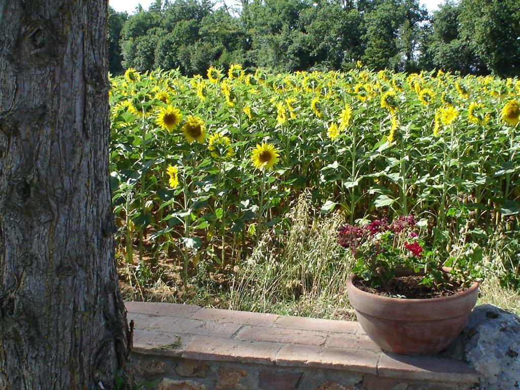 Casale Il Colombaio Di Toiano Valli Quarto foto