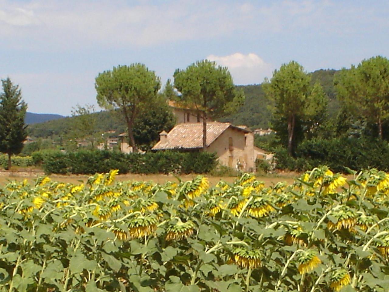 Casale Il Colombaio Di Toiano Valli Exterior foto