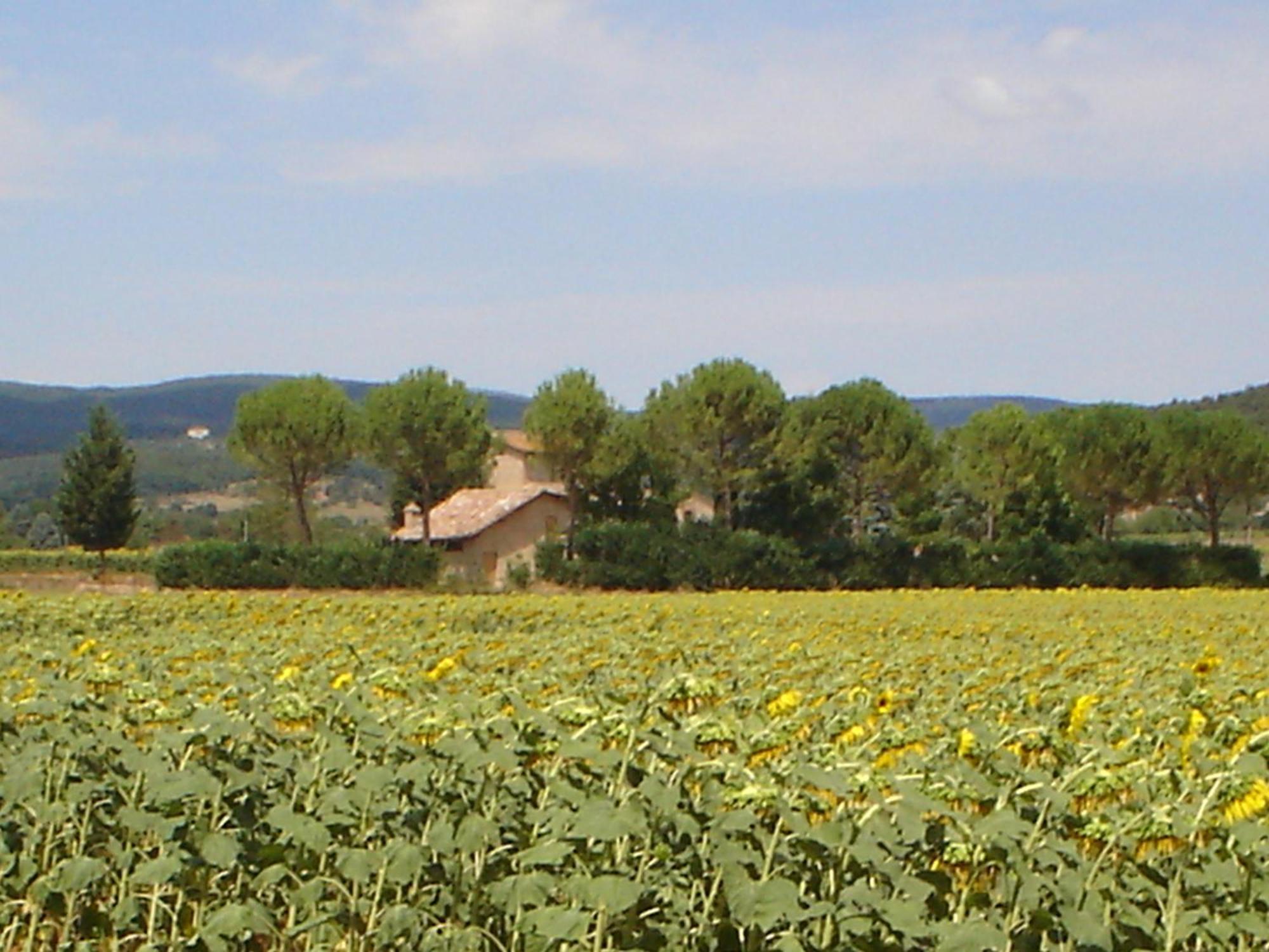 Casale Il Colombaio Di Toiano Valli Exterior foto